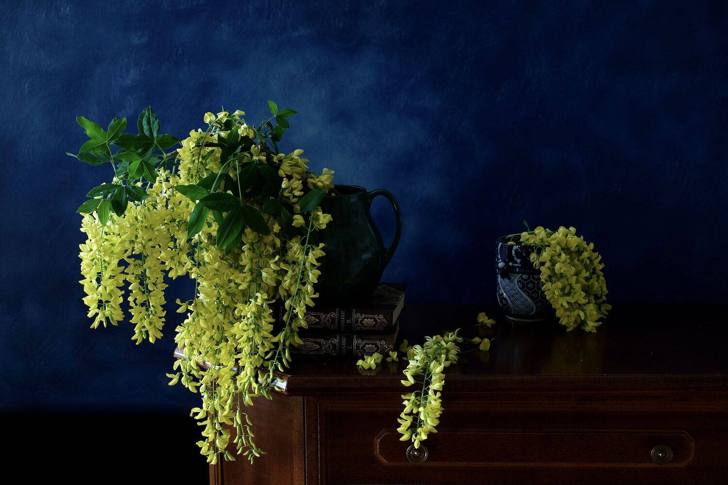 Still life, golden rain, flora, nature, colors, yellow, золотой дождь, Бобовник анагировидный, , Svetlana Povarova Ree