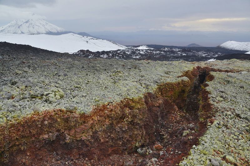 Камчатка, Россия, вулкан, Толбачик, трещина, извержение, кратер, приключение, путешествие, шагнивнеизведанное Камчатка (из цикла) фото превью