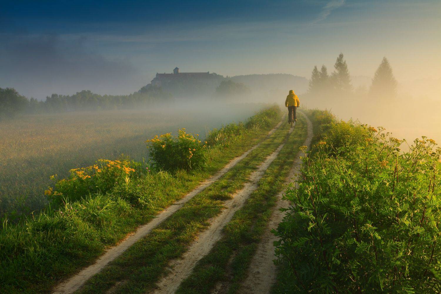 poland, tyniec, golden hour, summer, yellow, flowers, meadow, abby, sunrise,  cyclist, tranquility, solitary, outdoor, lesser poland, monastery, heritage, europe, mist, fog, quiet, calm, natural light, krakow, польша, монастырь, утро, лето, краков, тынец, Sebastian Płonka
