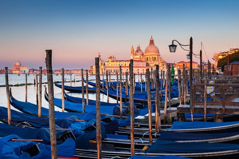 Salute at golden hour фото превью