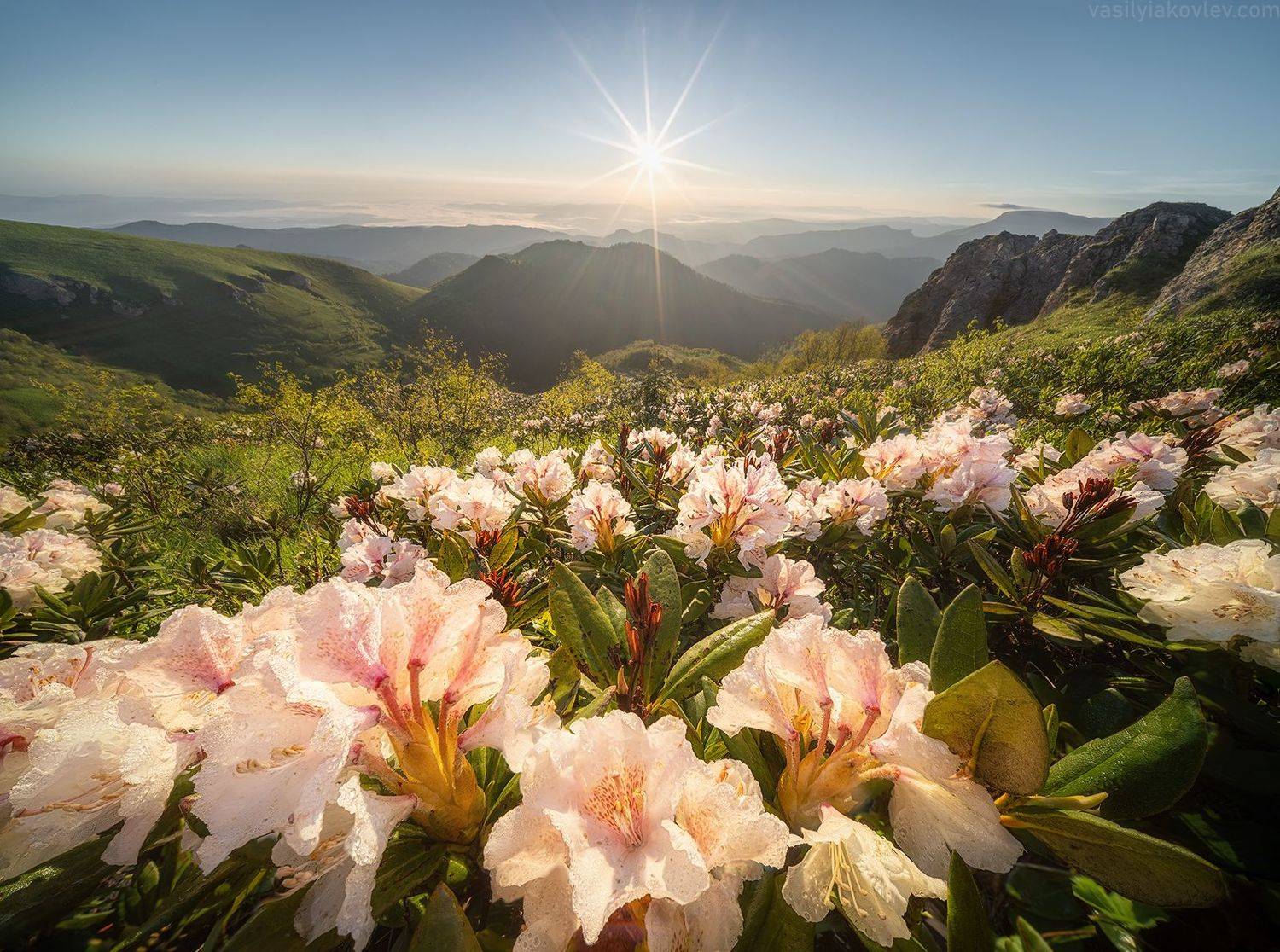 большой тхач, фототур, яковлевфототур, адыгея, кавказ, тхач, ачешбок, Василий Яковлев