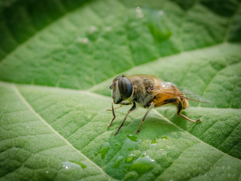 На отдыхе. фото превью