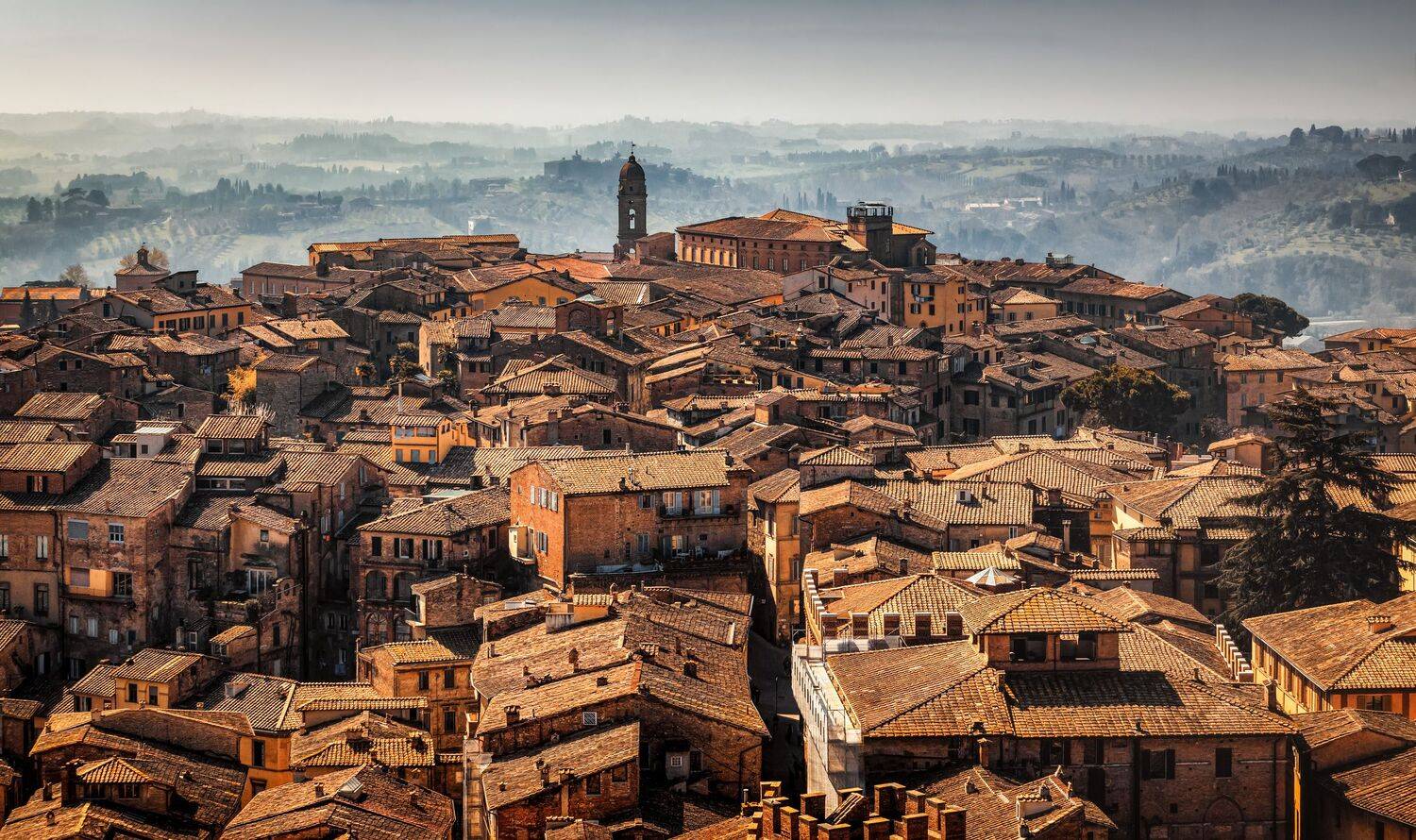 , Александр Безмолитвенный