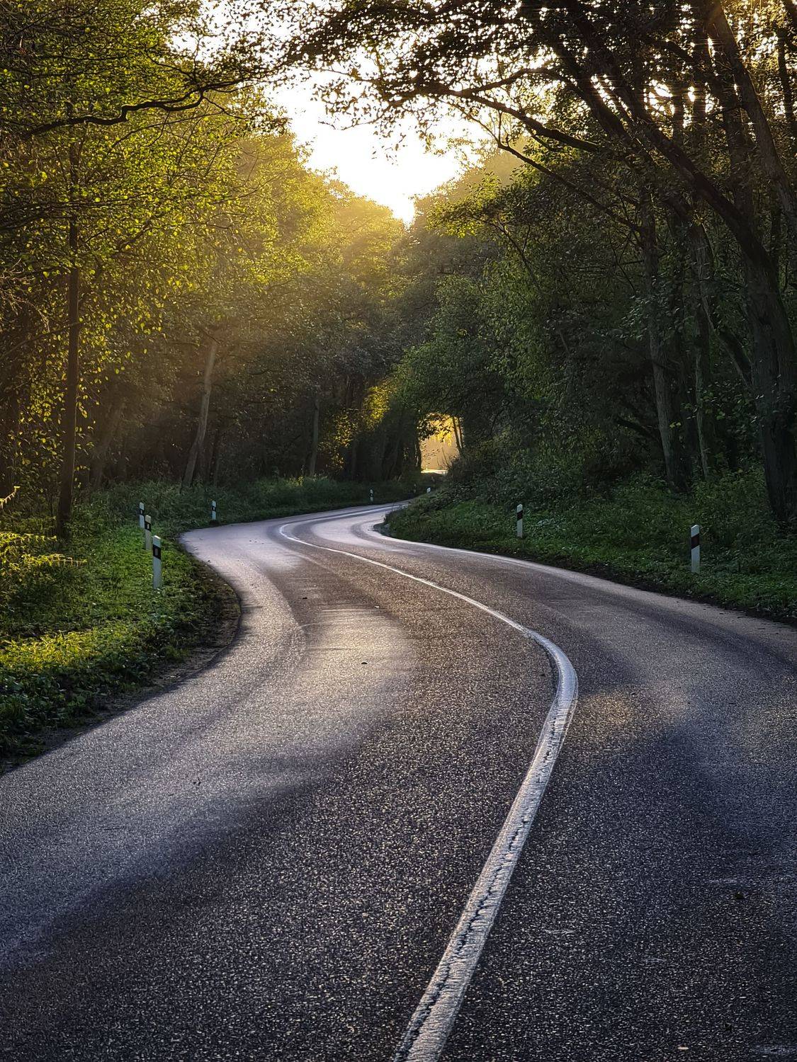 , Антон Мелёшкин