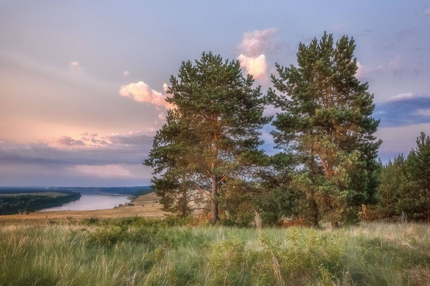 , Алексей Никитин