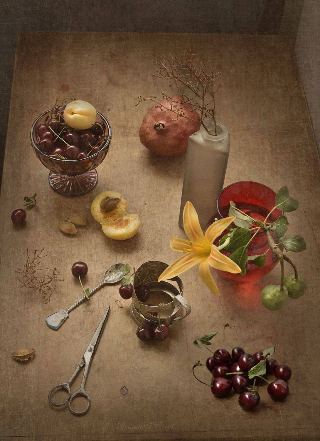 , Шипунова Ирина