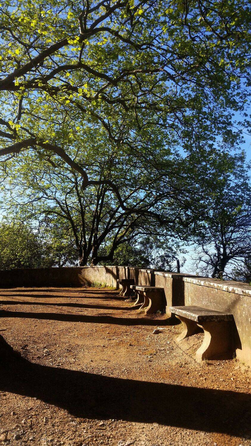 Landscapes, City, Nature, Nature, Carlos Machado
