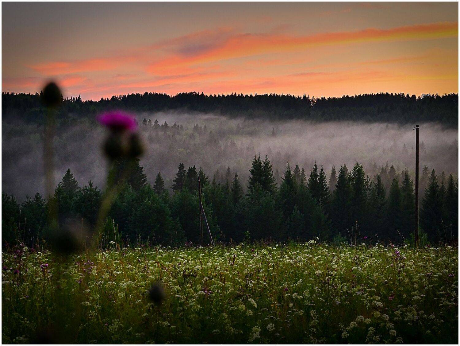 , Евгений Макеев