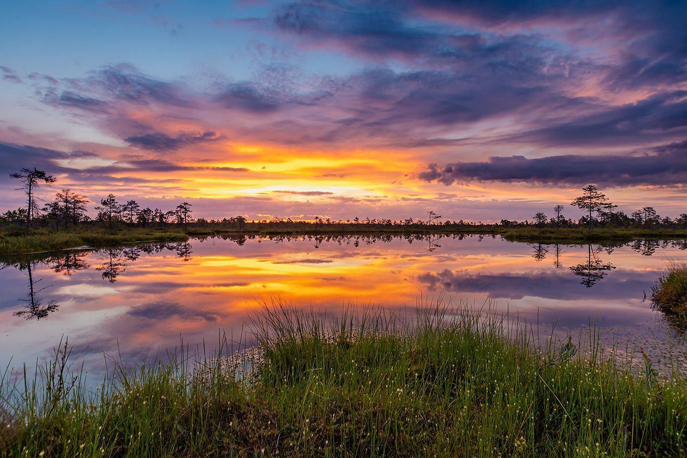 , Александр Абросимов
