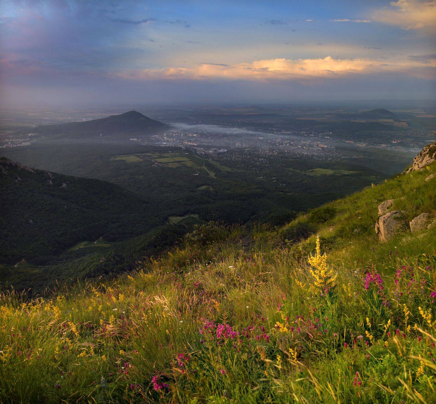 июль,утро,машук,бештау,кмв,пятигорск,природа, разнотравье,пейзаж, Елена Брежицкая