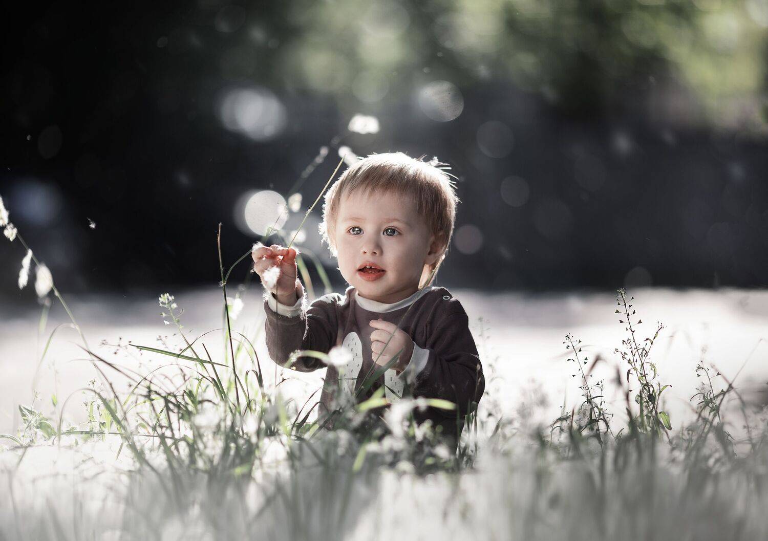 ребенок, мальчик, пух, боке, лето, Anna Yarkova