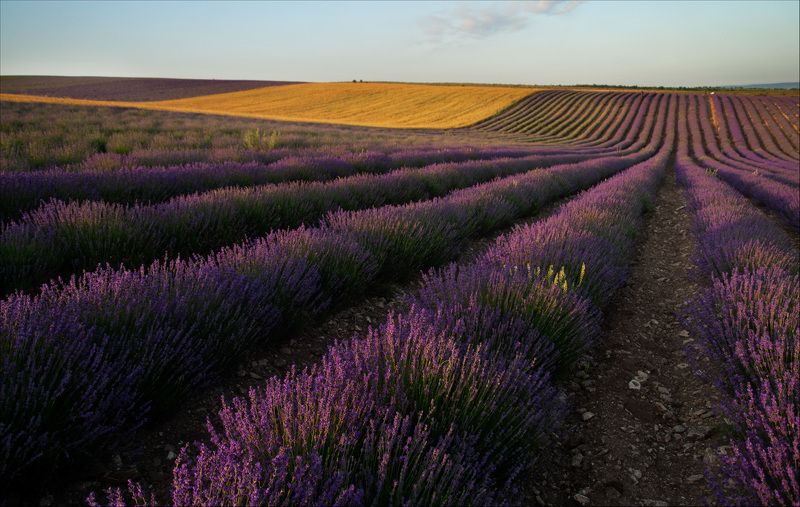 * фото превью