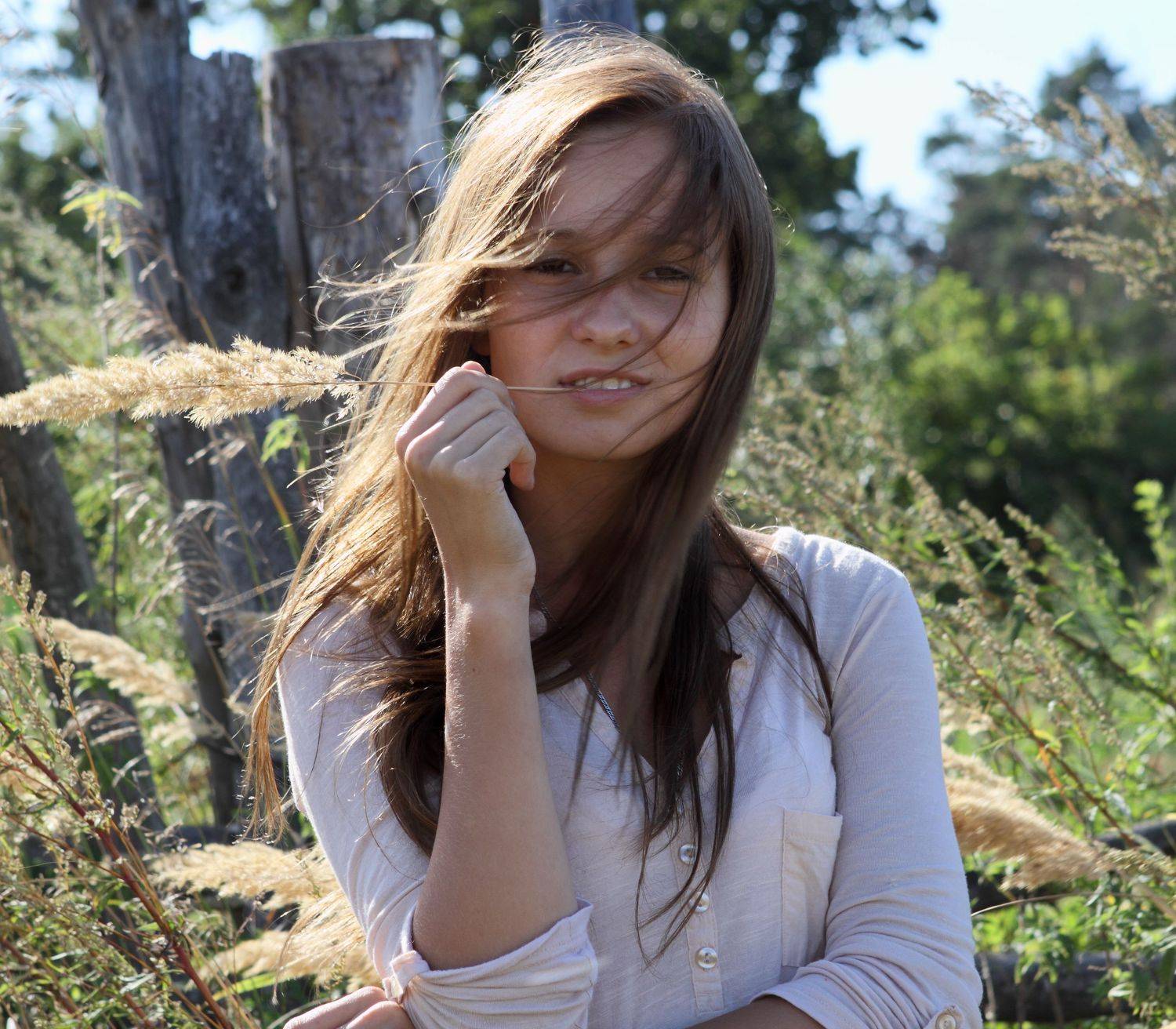 , Владимир Краснов