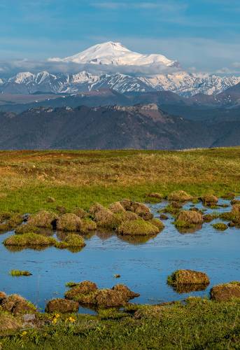 Горные виды