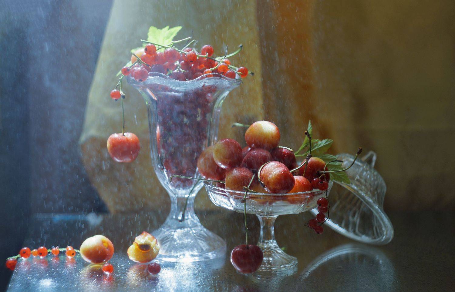 , Светлана Сушкевич