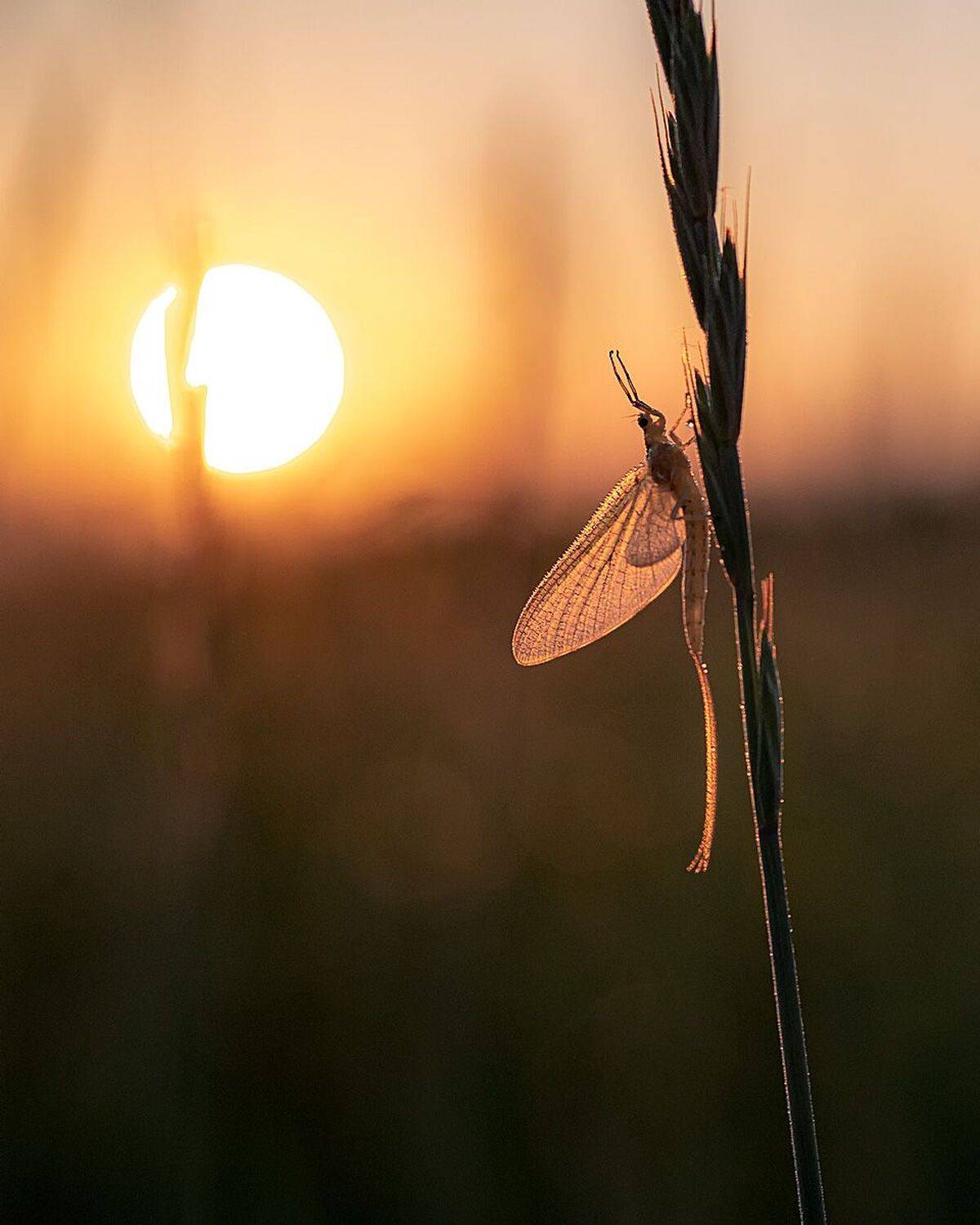 , Сергей Брагин