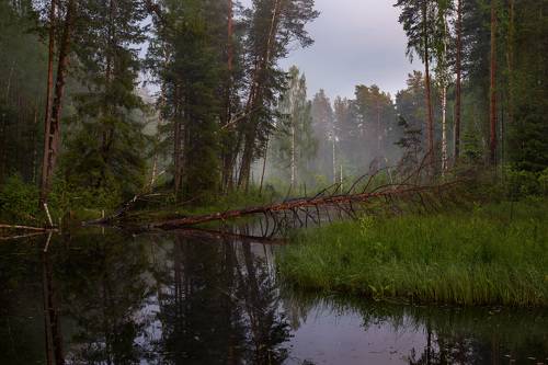 Вечером на Суходоле