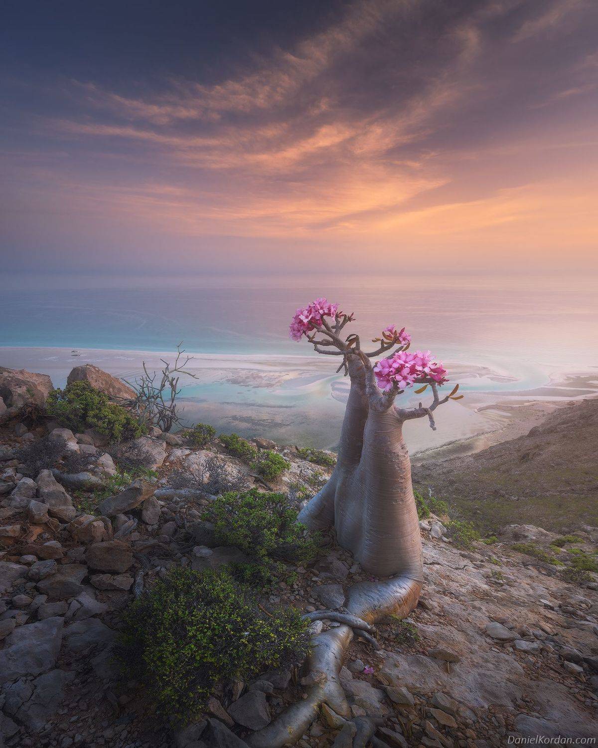 Socotra, Даниил Коржонов