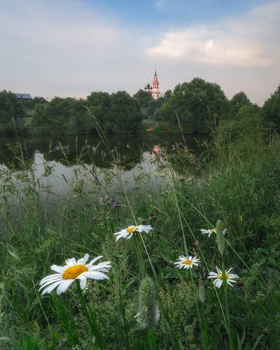 Летний вечер