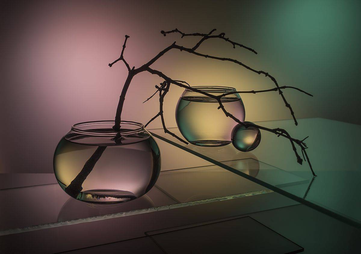 , Евгений Попов