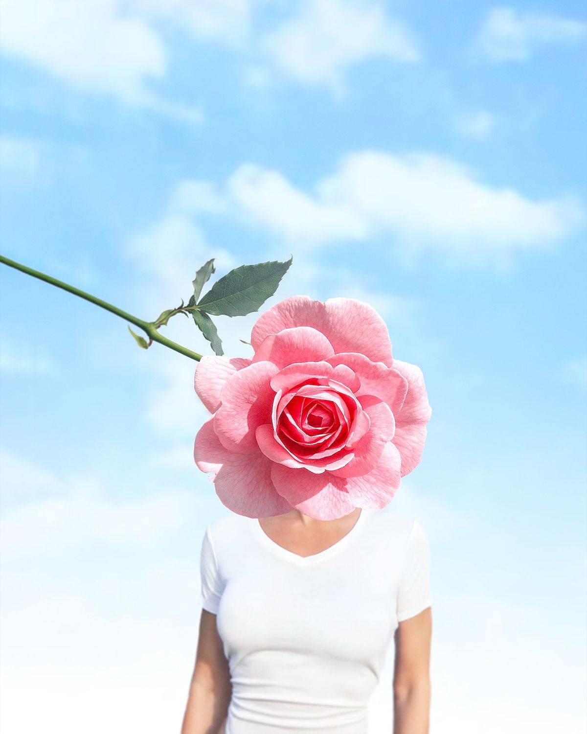 , Сергей Фетт