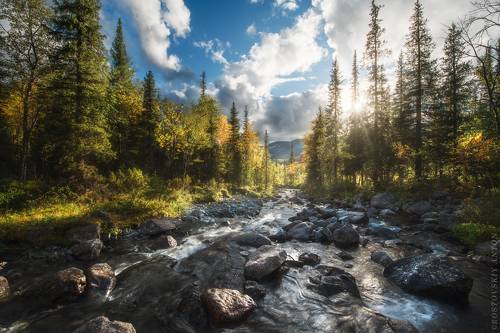 Осень в Хибинах | фототур в Хибины