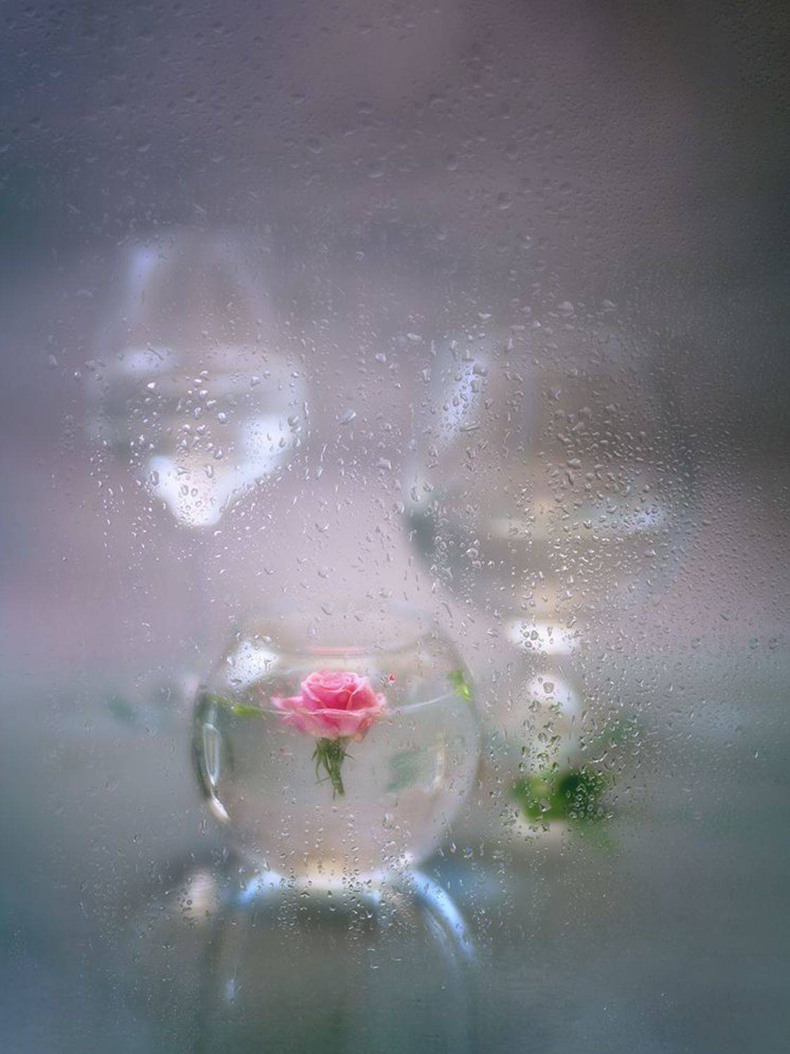роза, стекло, ваза, бокалы, капельки, Ирина Заколдаева