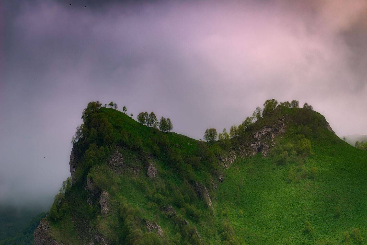 , Александр Орнатский