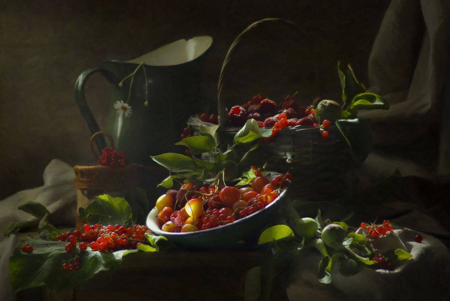 , Светлана Сушкевич