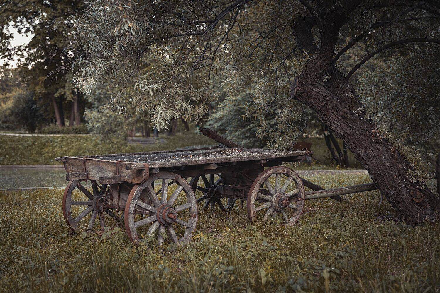 телега, старый, пейзаж, Юрий Шурчков