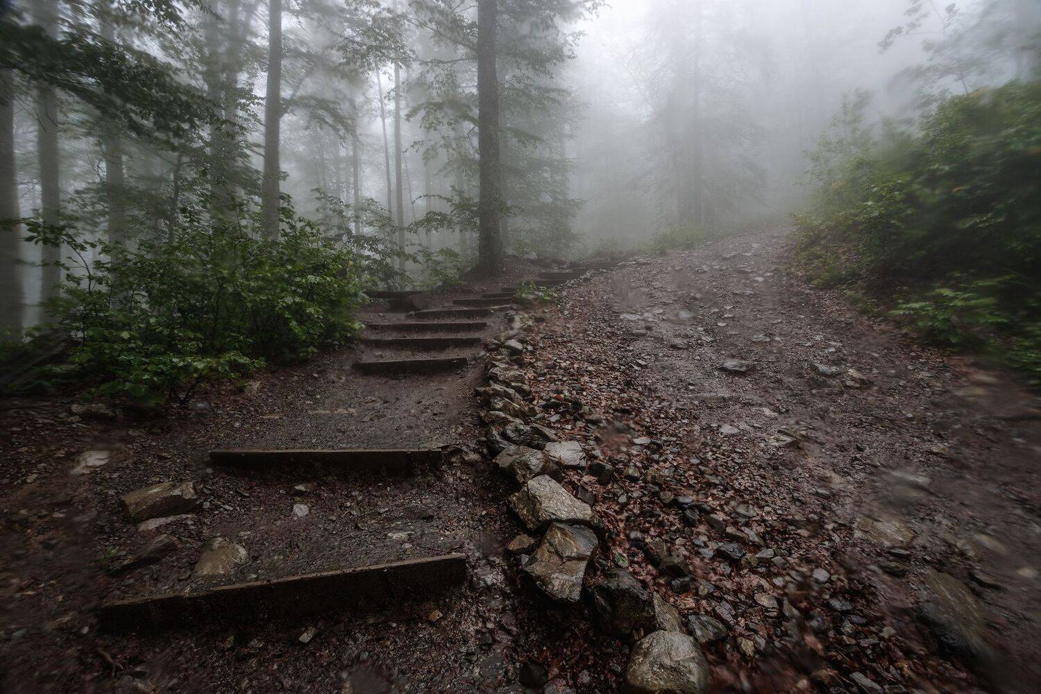 пейзаж, день, туман, Сергей Сергеев