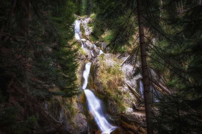 природа России, Архыз В сказочном лесу. фото превью