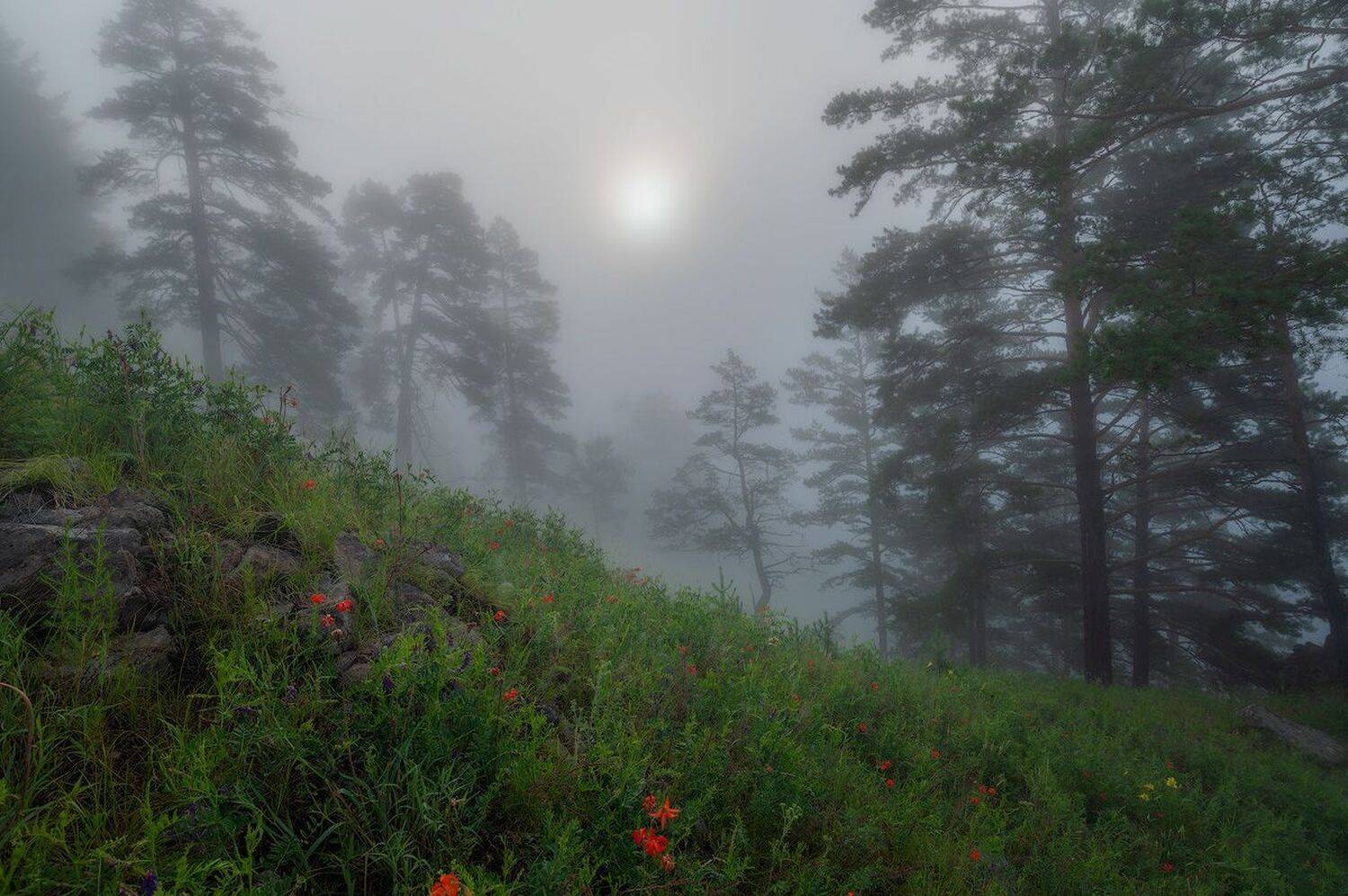 , Сергей Брагин