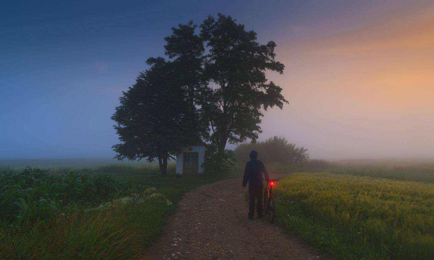 poland, field, summer, cyclist, tranquility, solitary, outdoor, lesser poland, chapel, heritage, europe, mist, fog, quiet, calm, shrine, польша, лето, meadow, mood, tree, rural, plain, sky, alone, road, Sebastian Płonka