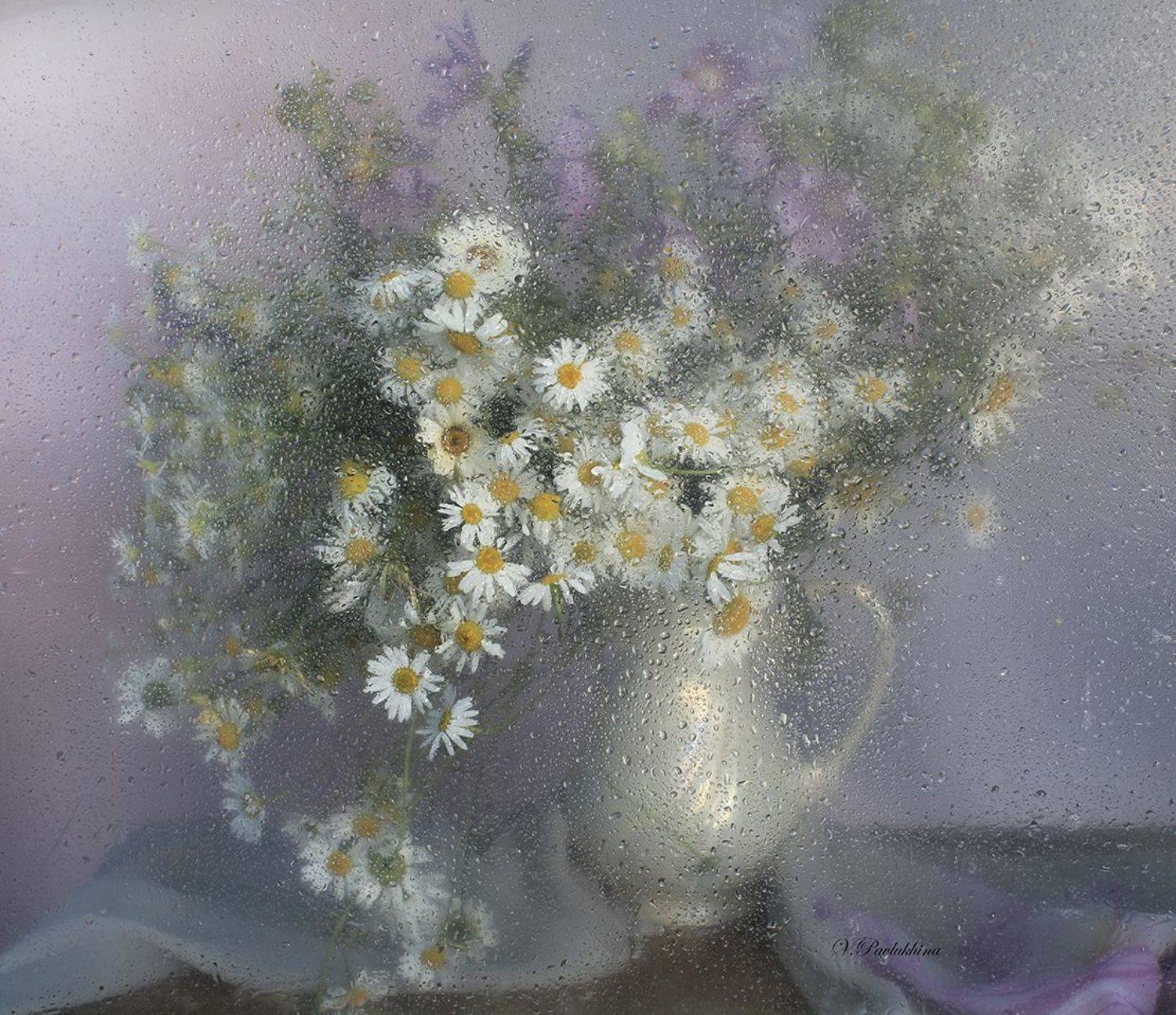 , Вера  Павлухина