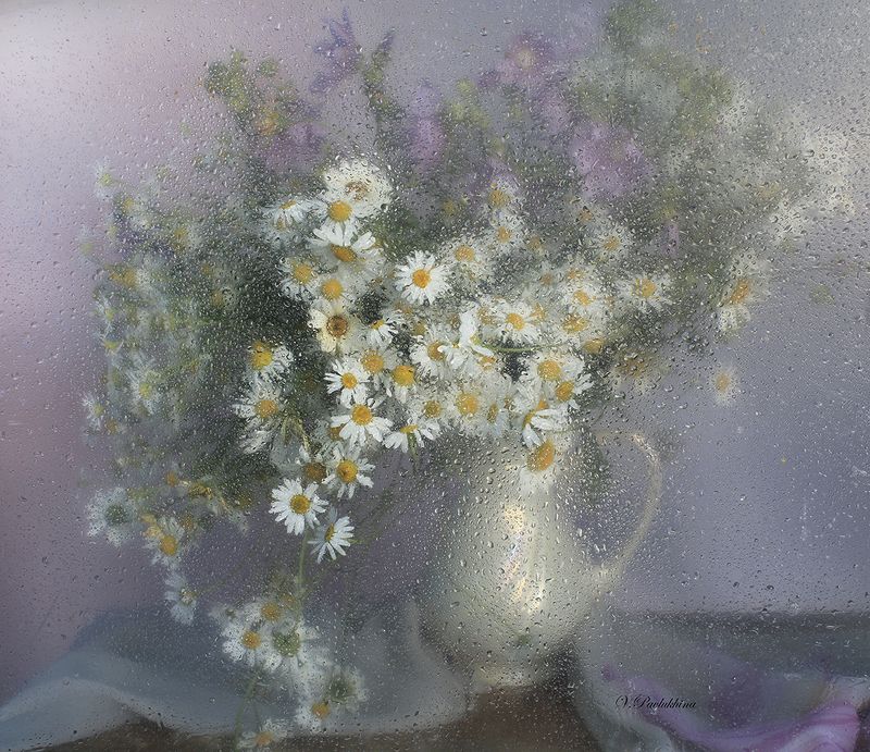 Ромашки за стеклом фото превью