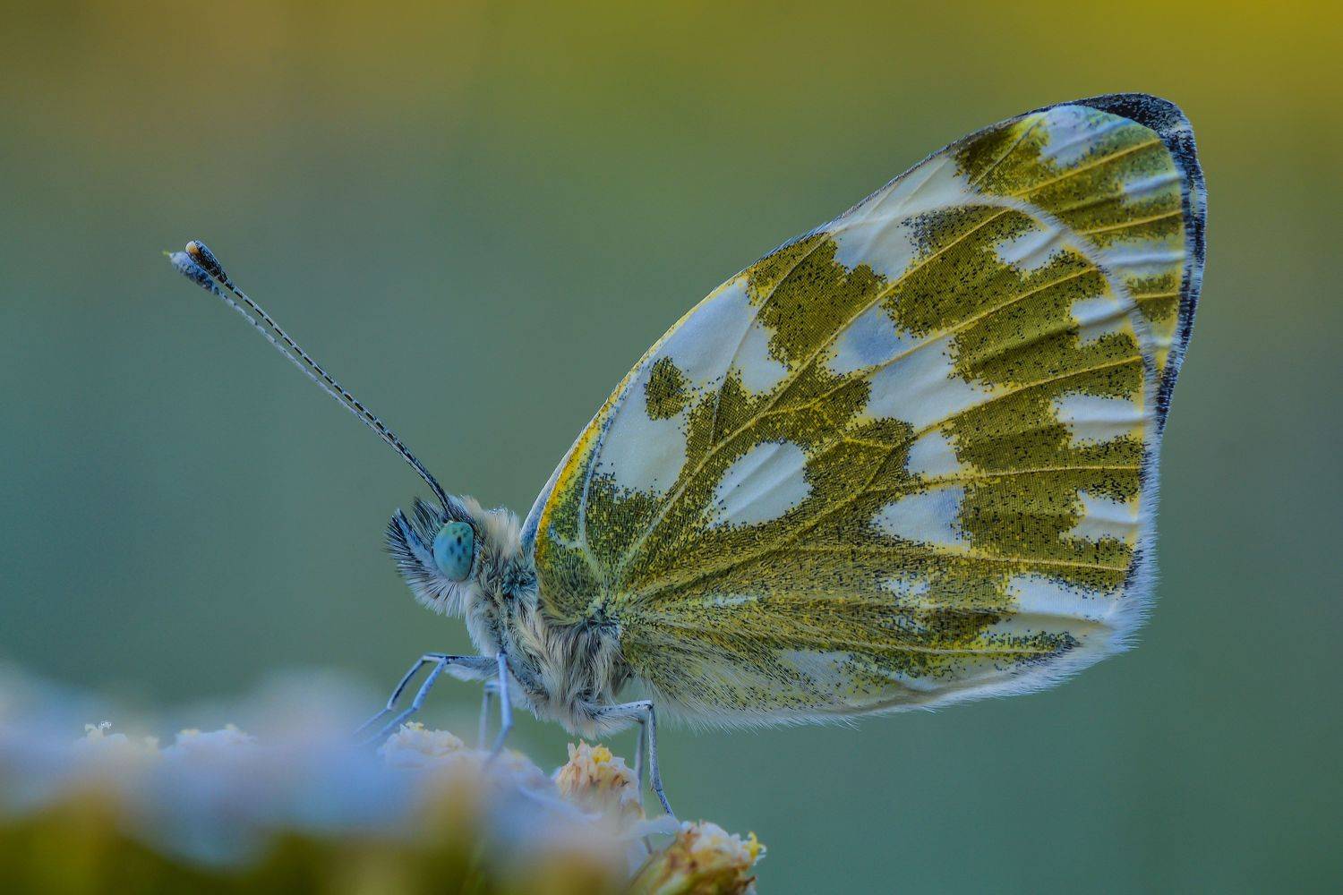 , Роман Зайцев