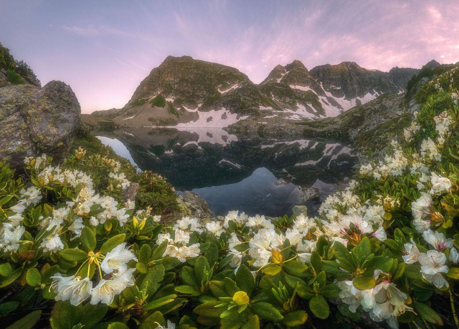 западный кавказ, карачаево-черкесия, аркасарский хребет, озеро, рододендрон, июль, вечер, Николай Мысливцев