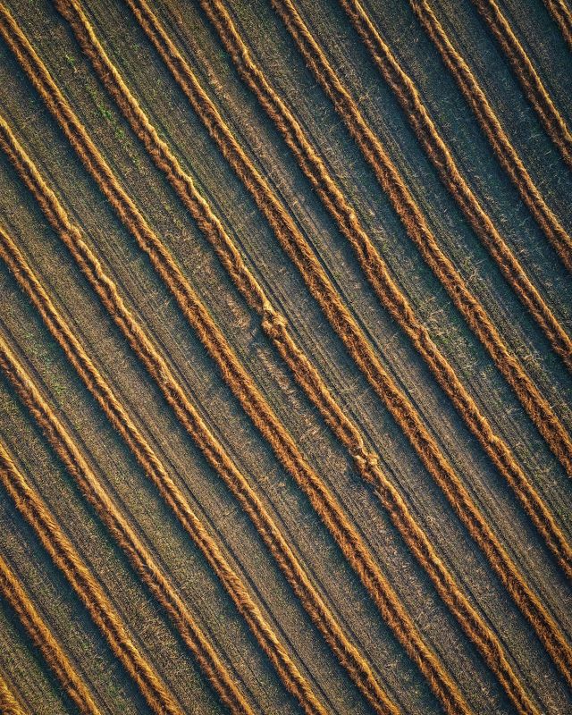 Поле фото превью