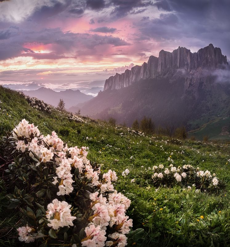 закат, большой тхач, кавказ, адыгея, весна, рододендрон Многоликий Большой Тхач фото превью