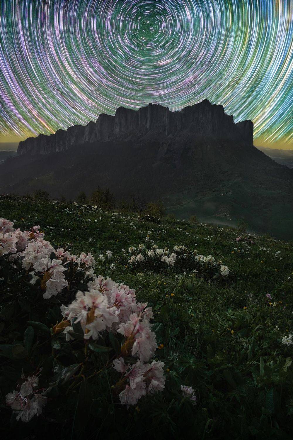 звезды, большой тхач, кавказ, адыгея, весна, рододендрон, астро, ночь, звездные треки, треки, startrail, startrails, Глеб Желтов