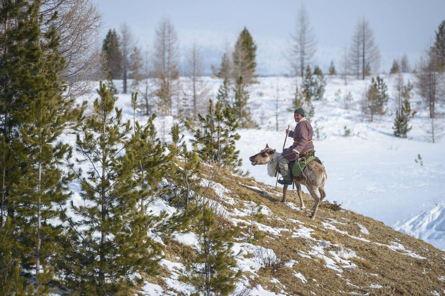 Туву Тыва оленевод Тоджа Тожа, Кутыгин Эдуард