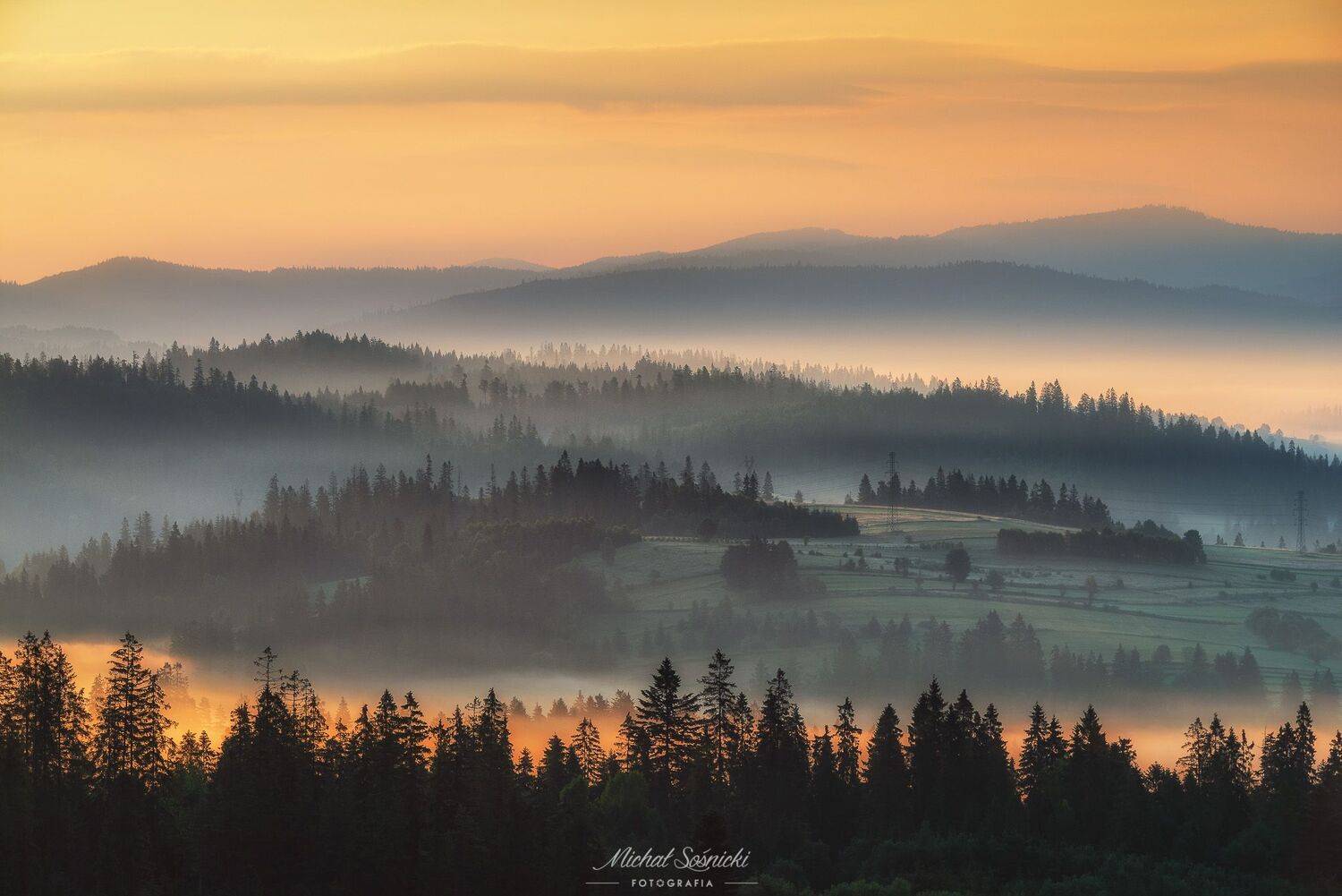 #summer #morning #sunrise #tree #foggy #landscape #benro #benq #pentax, Michał Sośnicki