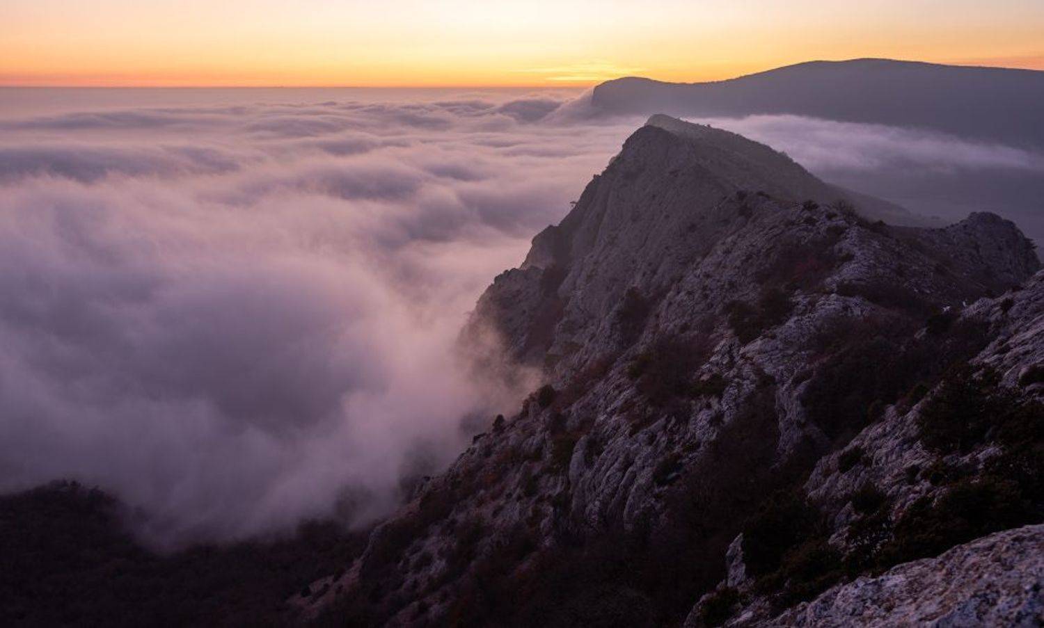 , Андрей Гусаченко