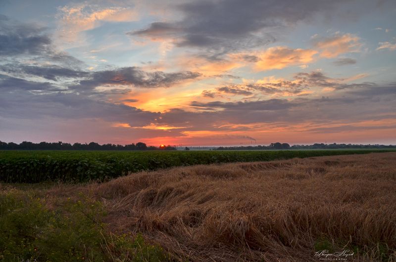 лето, июль, поле, закат, небо, облака Закат над полем фото превью