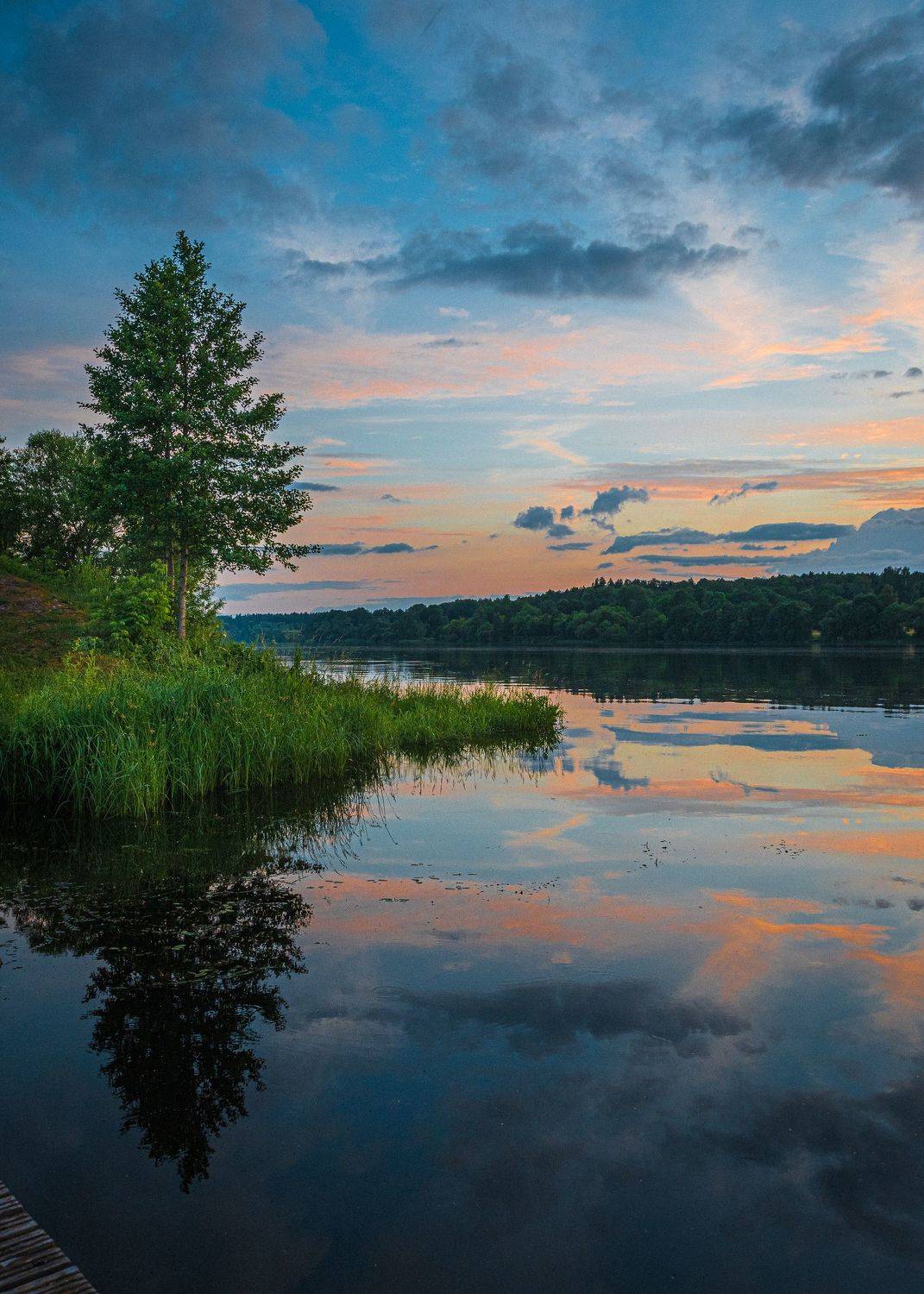 , Дмитрий Рябцев