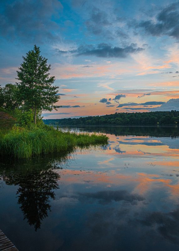 Summer фото превью