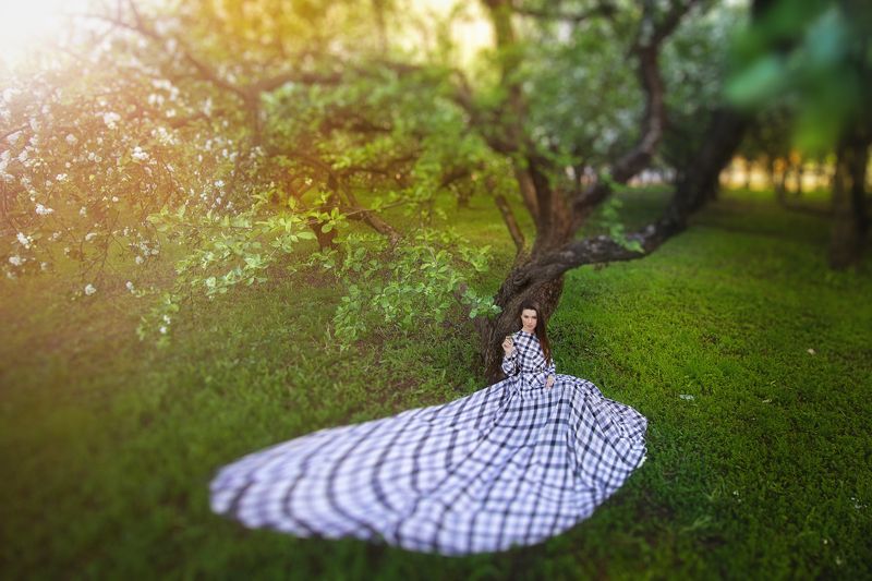 ,,, фото превью