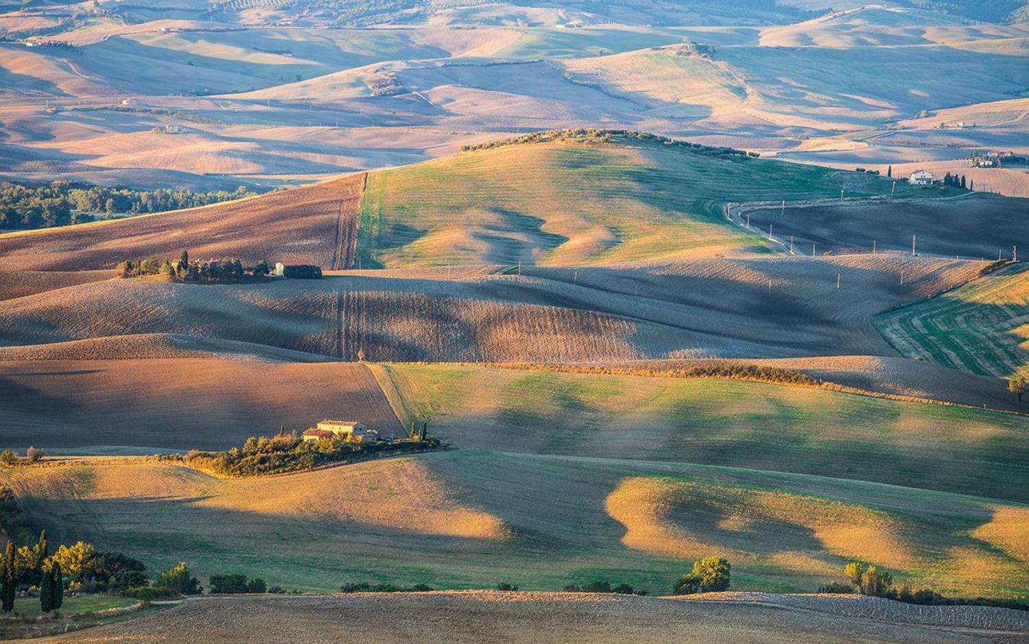 , Шитиков Владимир