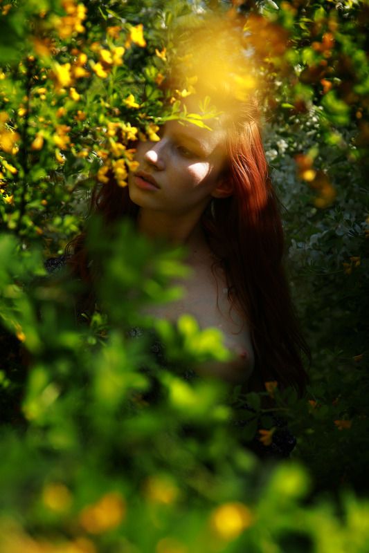 фотограф,павелтроицкий,ню,эротика,nude,artnu,nu,фотосессия,натура,лето,цветы Диана фото превью